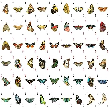 Amazon.com: BEAUTIFUL BUTTERFLY Playing Cards (Poker Deck 54